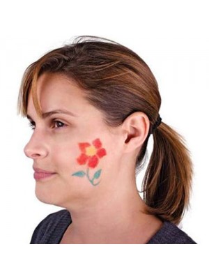 Face Painting Crayons