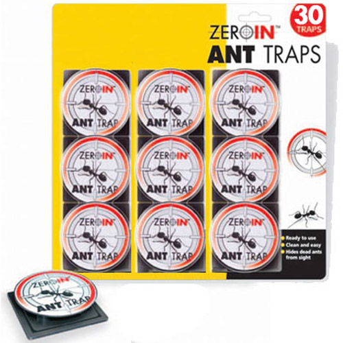 30 Ant Traps - Safe, Clean and Easy Solution