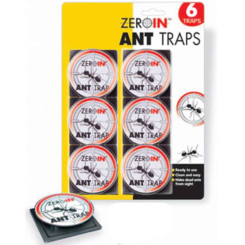 6 Ant Traps - Safe, Clean and Easy Solution
