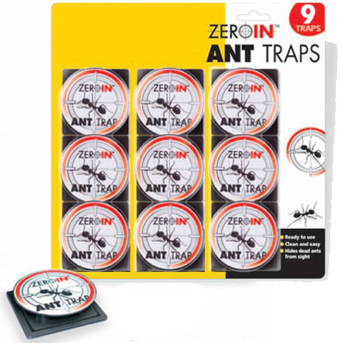 Ant Traps