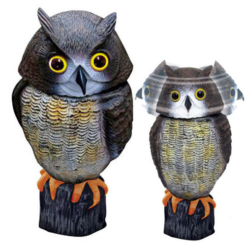 Decoy Motion Action Owl