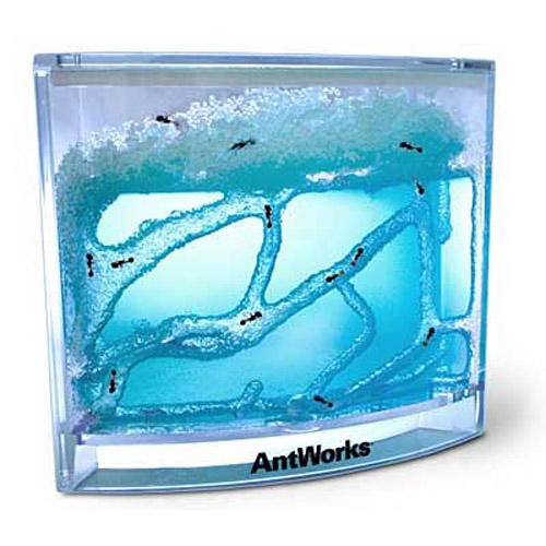 AntWorks Blue Ant Farm - A Space-Age Habitat for Ants!