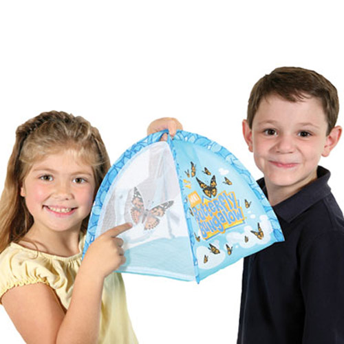 Insect Lore Mini Butterfly Bungalow