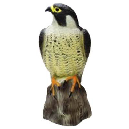 Bird Scarer