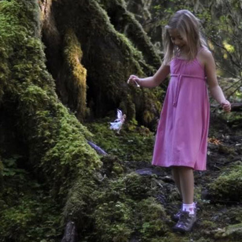 Flitter Fairies - Pixie Silk and Batteries Pack
