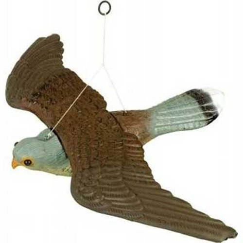 Decoy Flying Falcon - Bird of Prey - Cat Repeller and Bird Scare