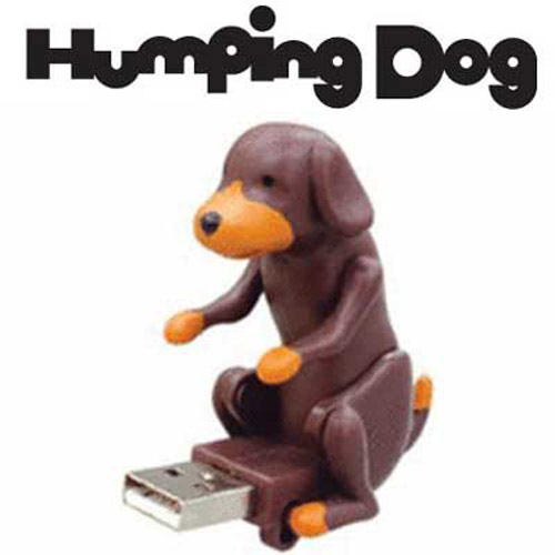USB Humping Dog - Big Brown Dog Style!
