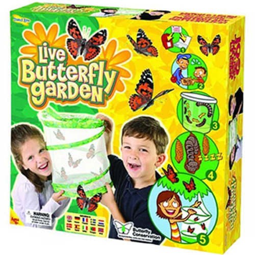 Live Butterfly Garden