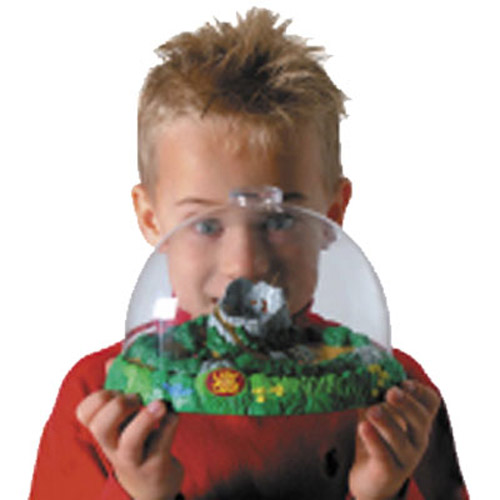 Bug Land - Insect Habitat Globe