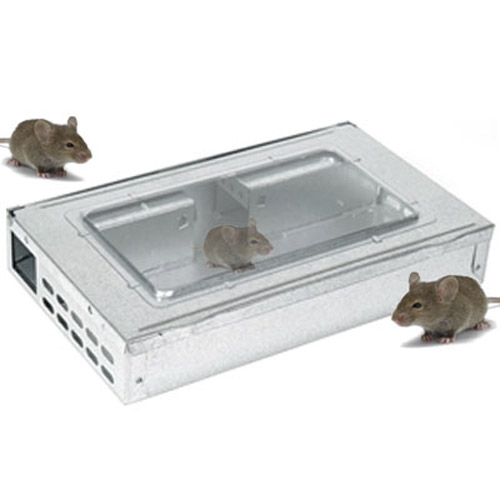 Metal Multi Mouse Trap - Live Catch upto 10 Mice