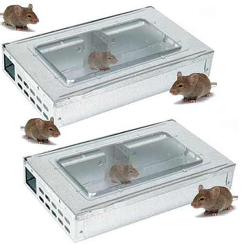 2 Metal Multi Mouse Traps - Live Catch Up To 20 Mice