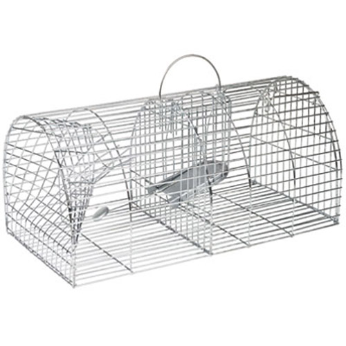 The Big Cheese Multi Catch Rat Trap