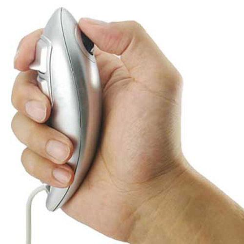 The Fish Handheld Mouse for PC/Laptop Ideal for Presentations