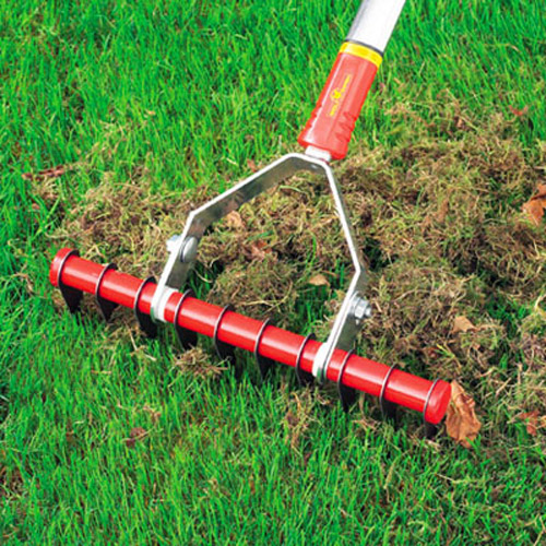 power rake to remove moss
