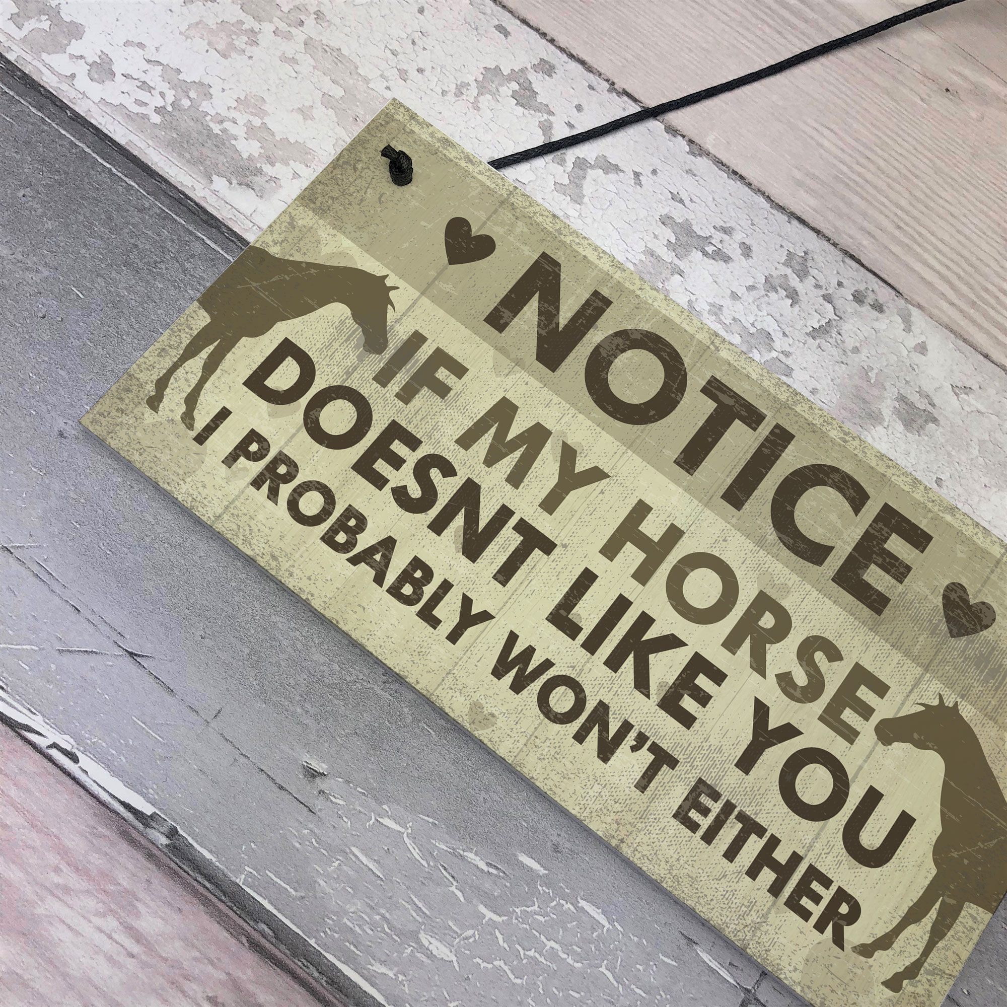 Funny Horse Gifts For Women Hanging Sign Horse Gifts For Girls Horse
