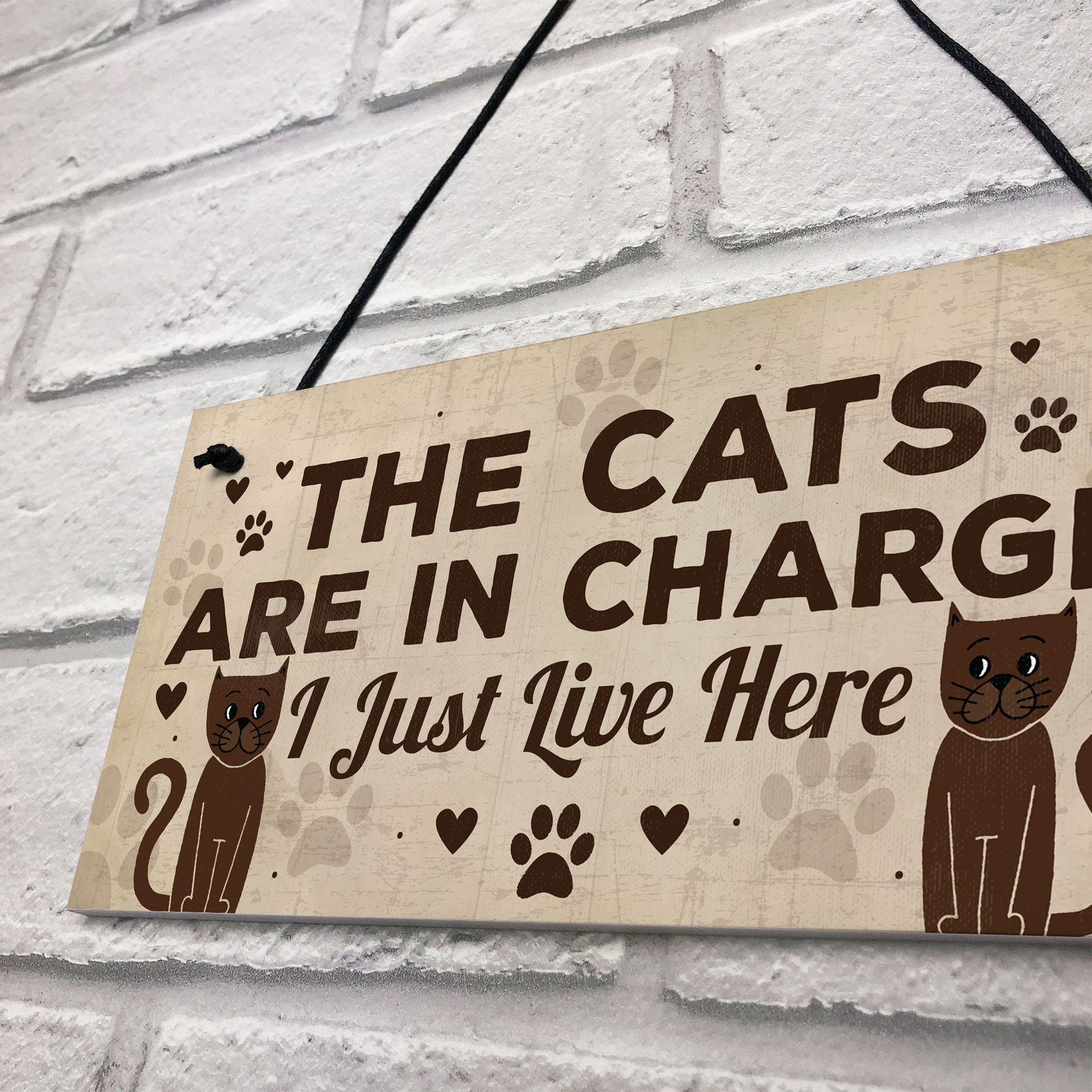 Funny Cat Gifts For Cat Lovers Gift For Women Home Decor Animal Sign