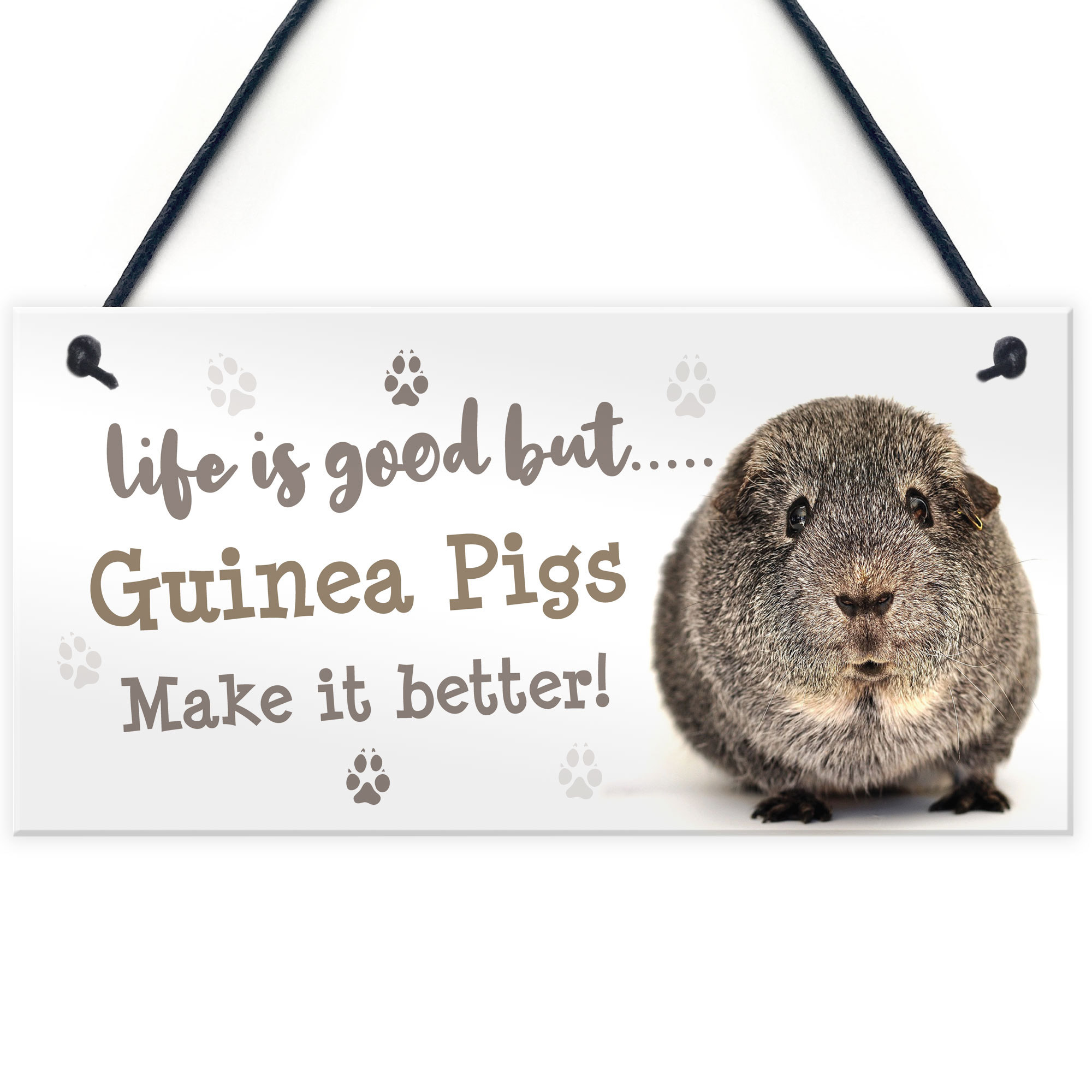 Guinea Pig Sign Handmade Gift Sign For Guinea Pig Owners Cute Pet Gifts ...