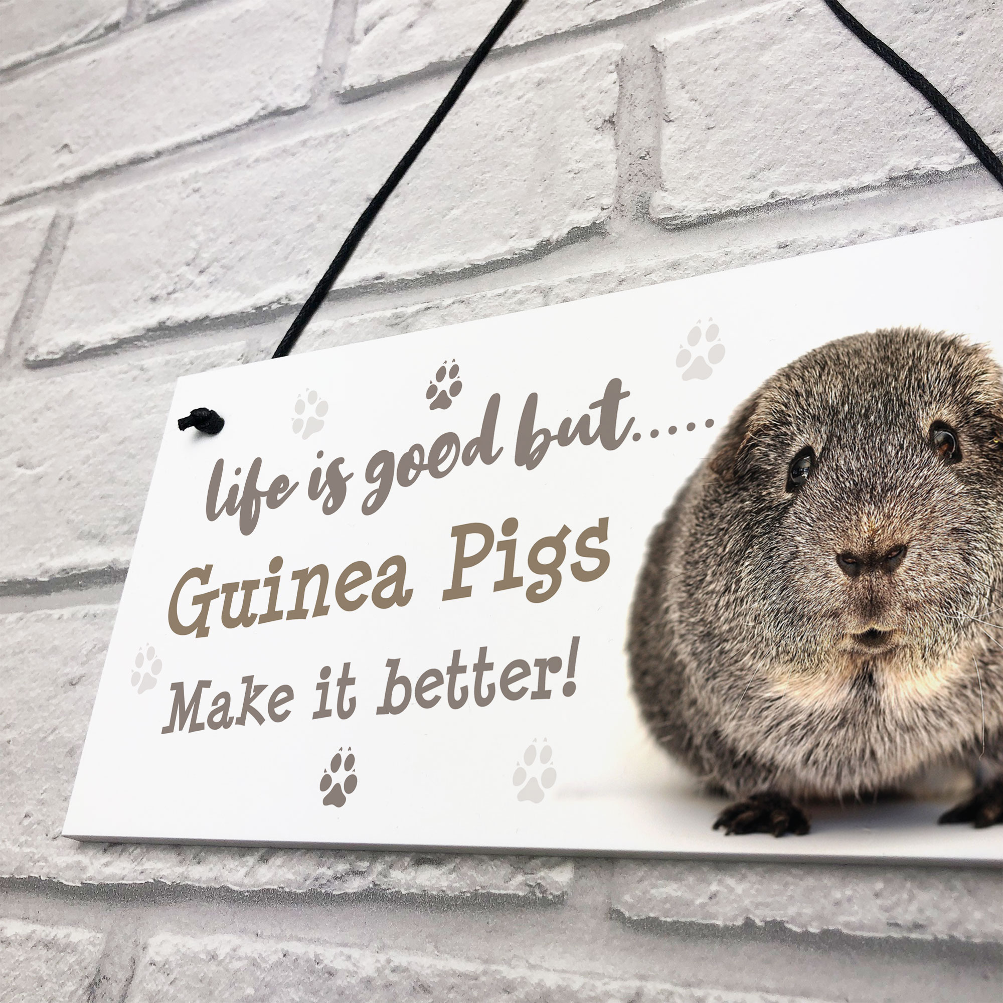 Guinea Pig Sign Handmade Gift Sign For Guinea Pig Owners Cute Pet Gifts