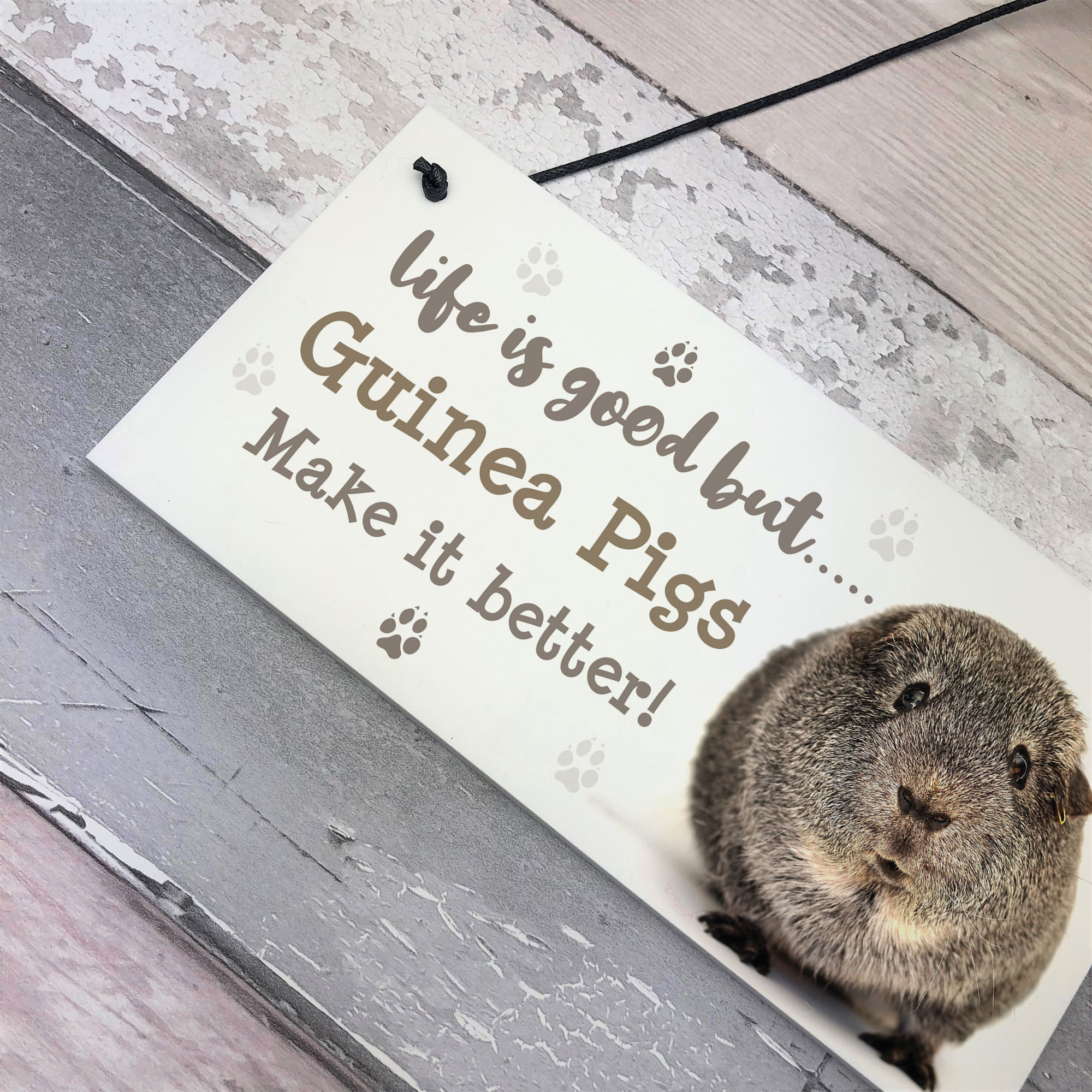 Guinea Pig Sign Handmade Gift Sign For Guinea Pig Owners Cute Pet Gifts