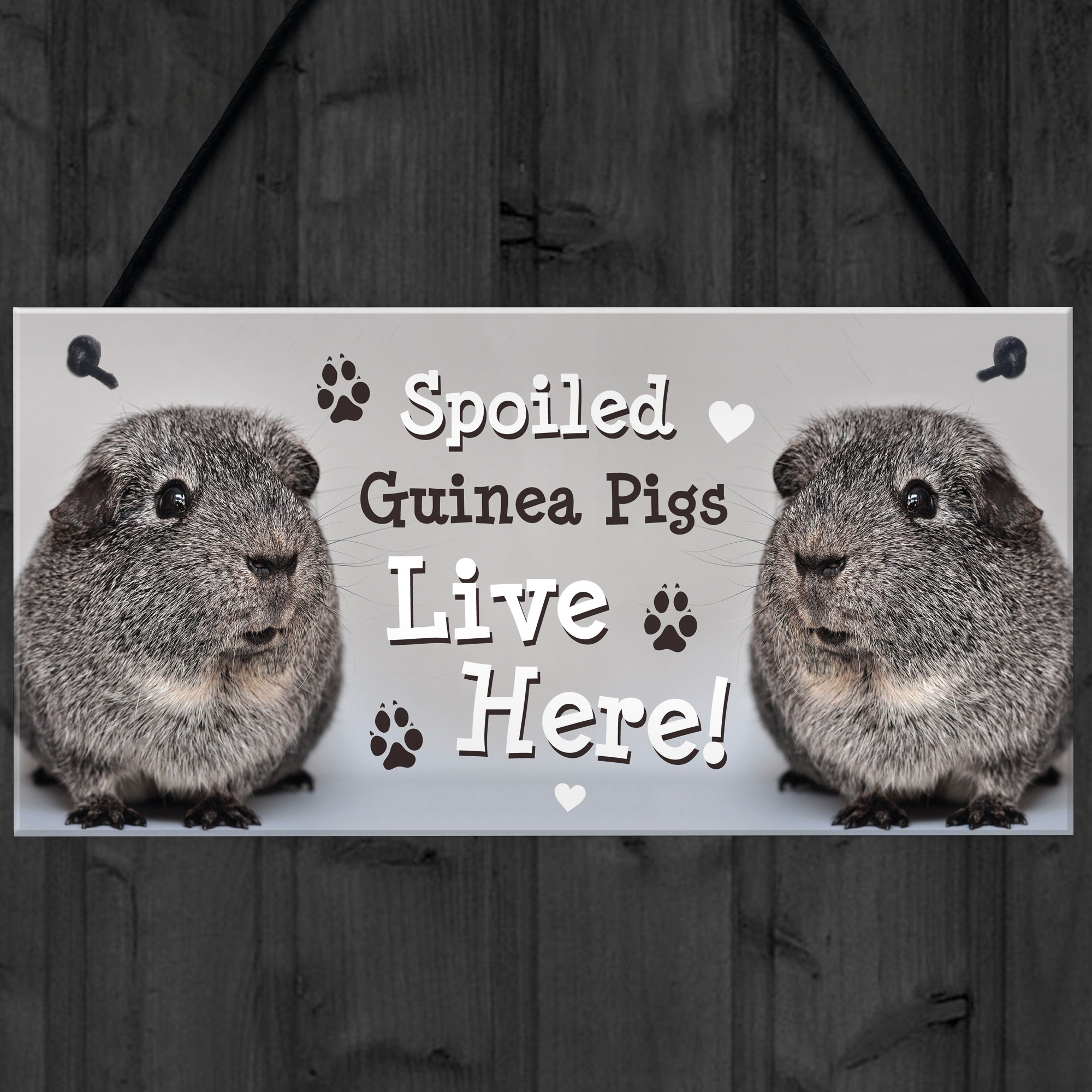 Spoiled Guinea Pigs Live Here Handmade Gift Sign For Guinea Pig Owners