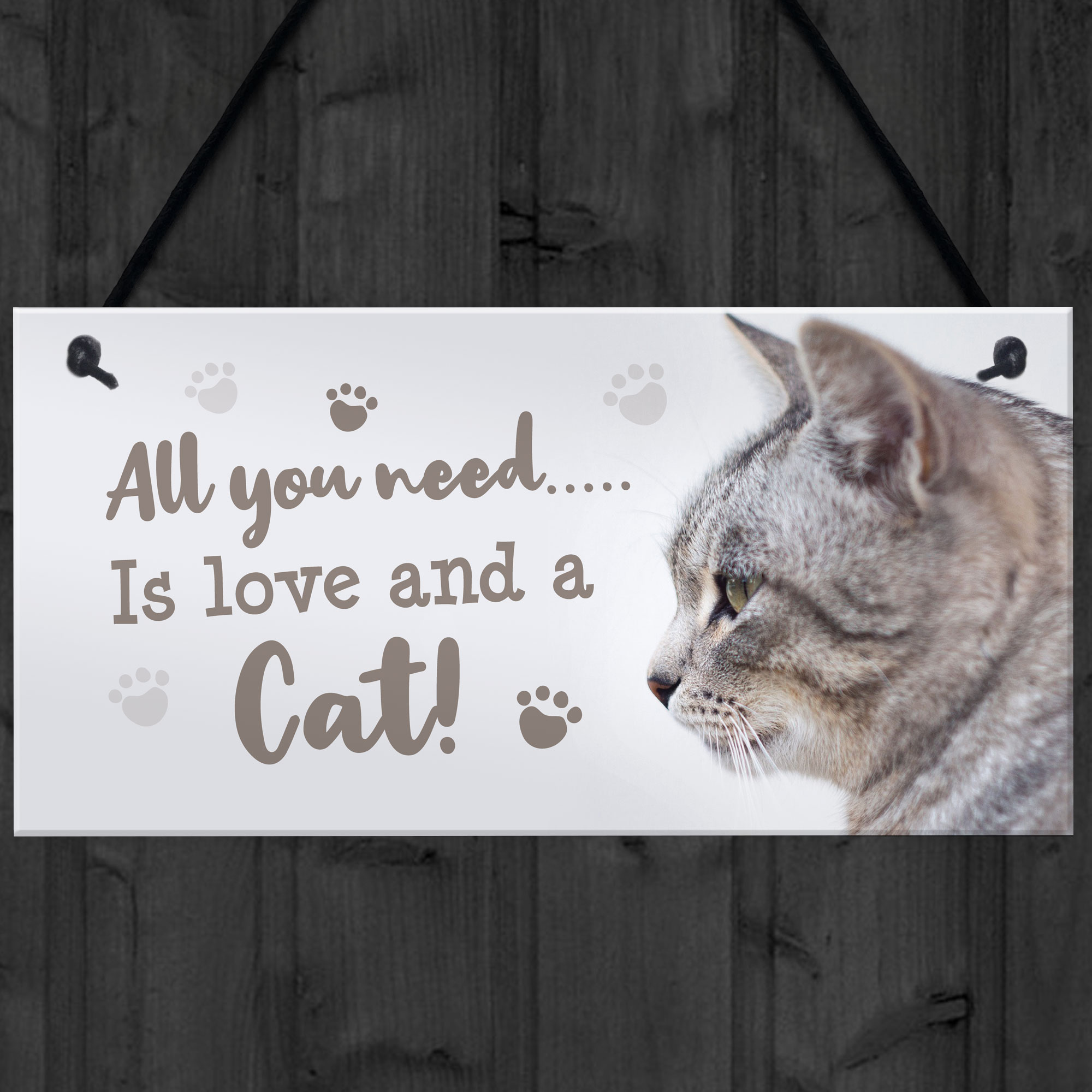 Cat Signs For Home Funny Cat Gift Home Wall Plaque Pet Animal Cat Lover