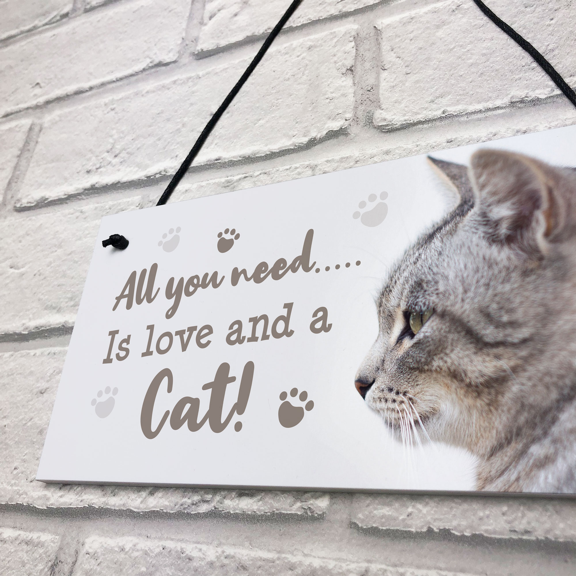 Cat Signs For Home Funny Cat Gift Home Wall Plaque Pet Animal Cat Lover