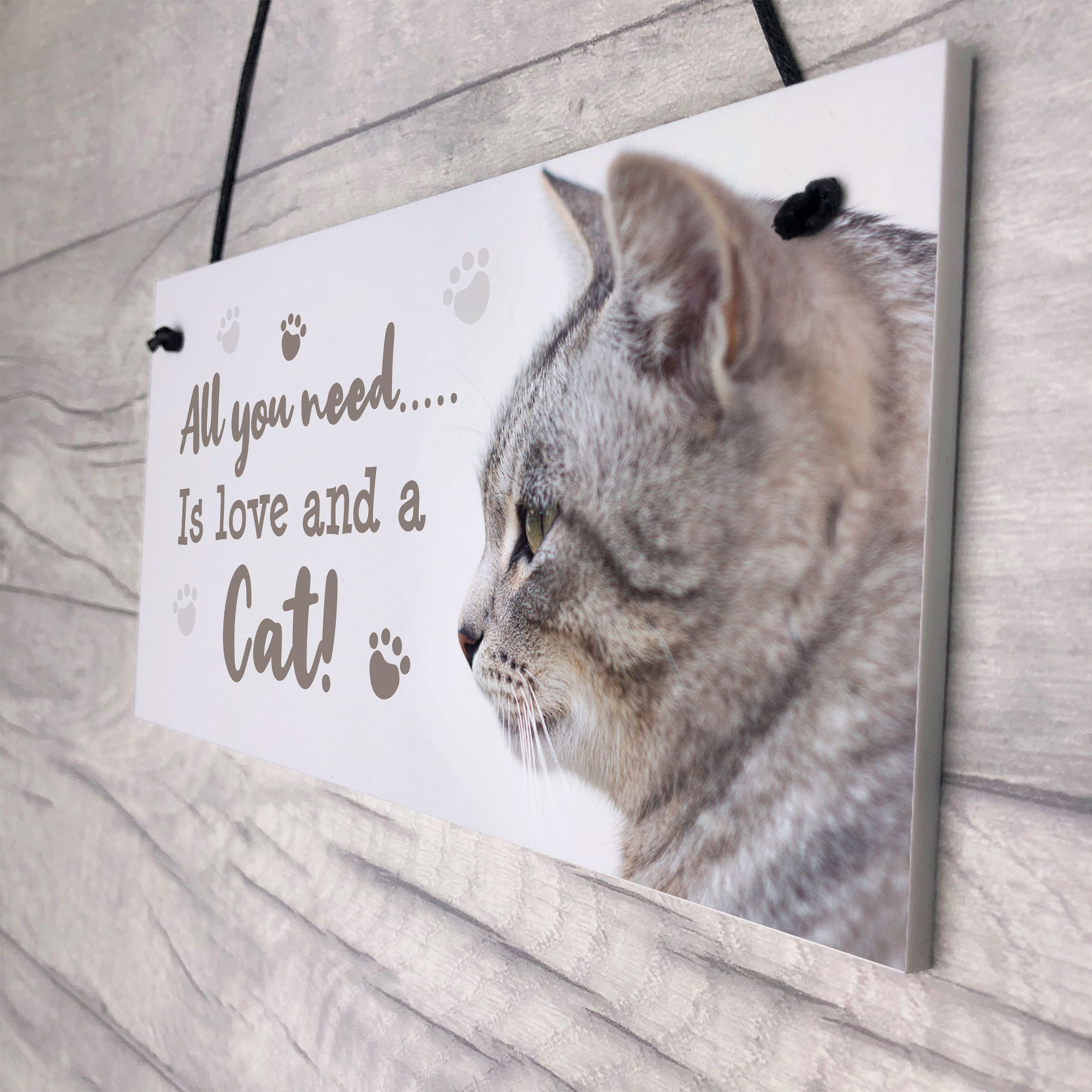 Cat Signs For Home Funny Cat Gift Home Wall Plaque Pet Animal Cat Lover
