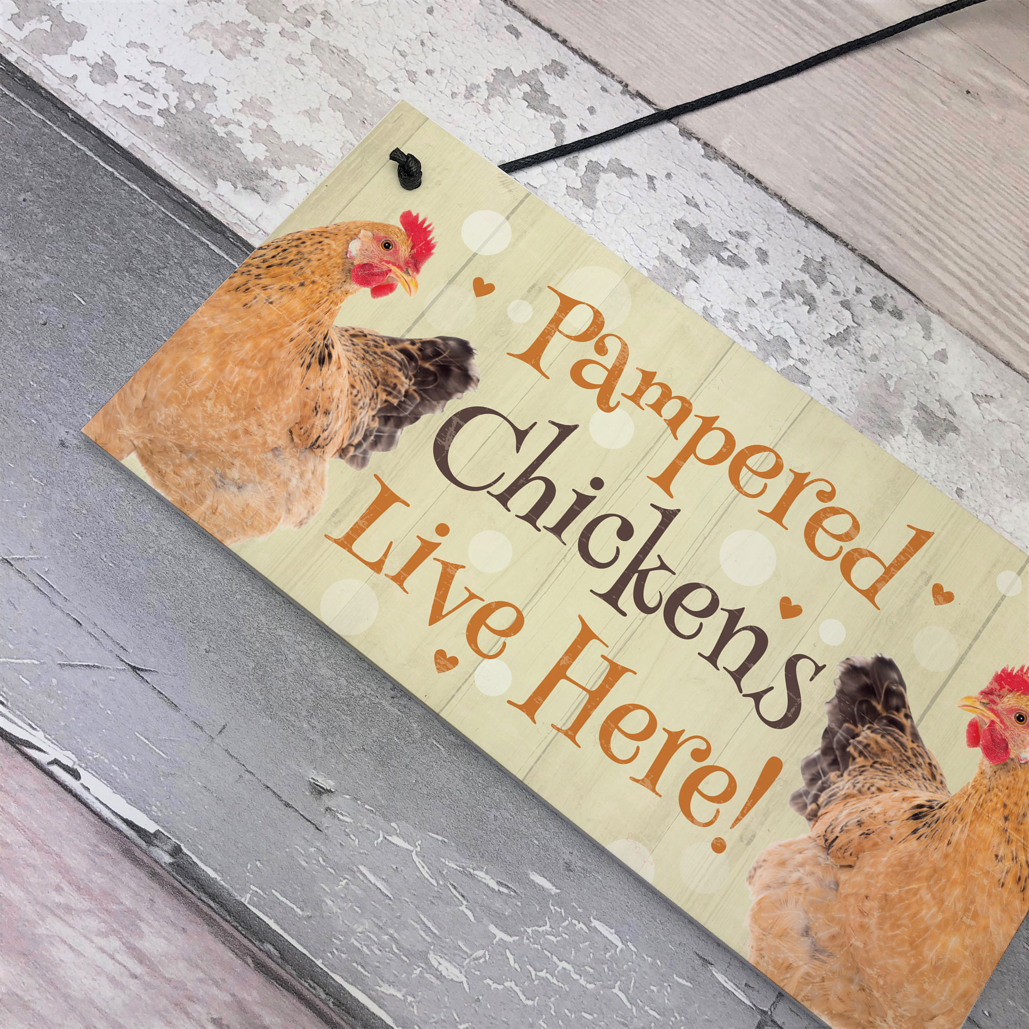 Chicken Coop Sign Funny Pampered Chicken Sign For Hen House Chicken