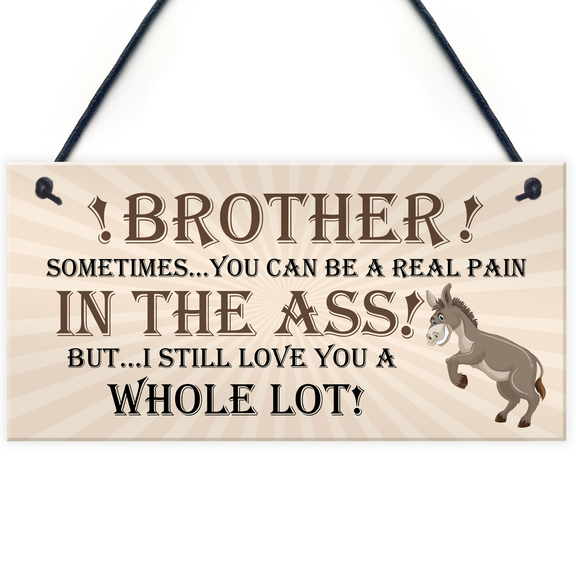 Funny Brother Christmas Gifts Plaques Novelty Gift Idea For Brother From Sister eBay
