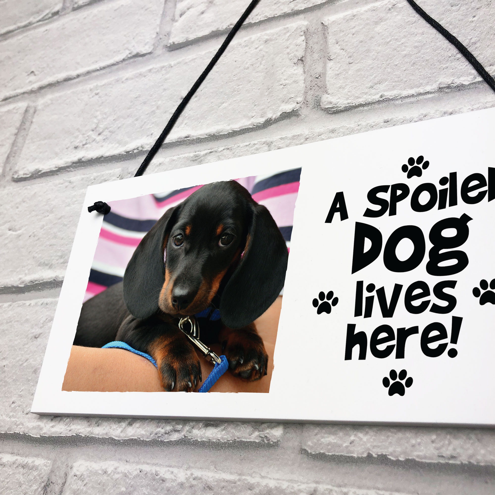 Personalised Dog Wall Plaque Novelty Dog Accessories Gifts Animal Lover